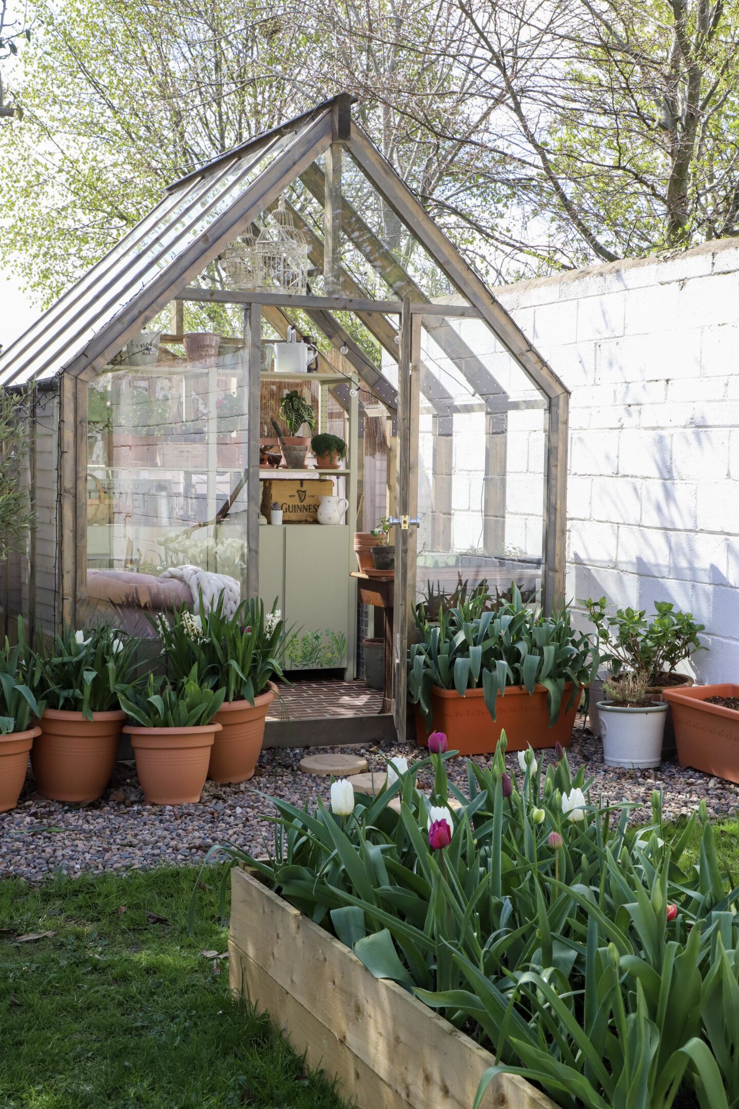 Container Gardening - Complete Beginner's Guide - Dainty Dress Diaries